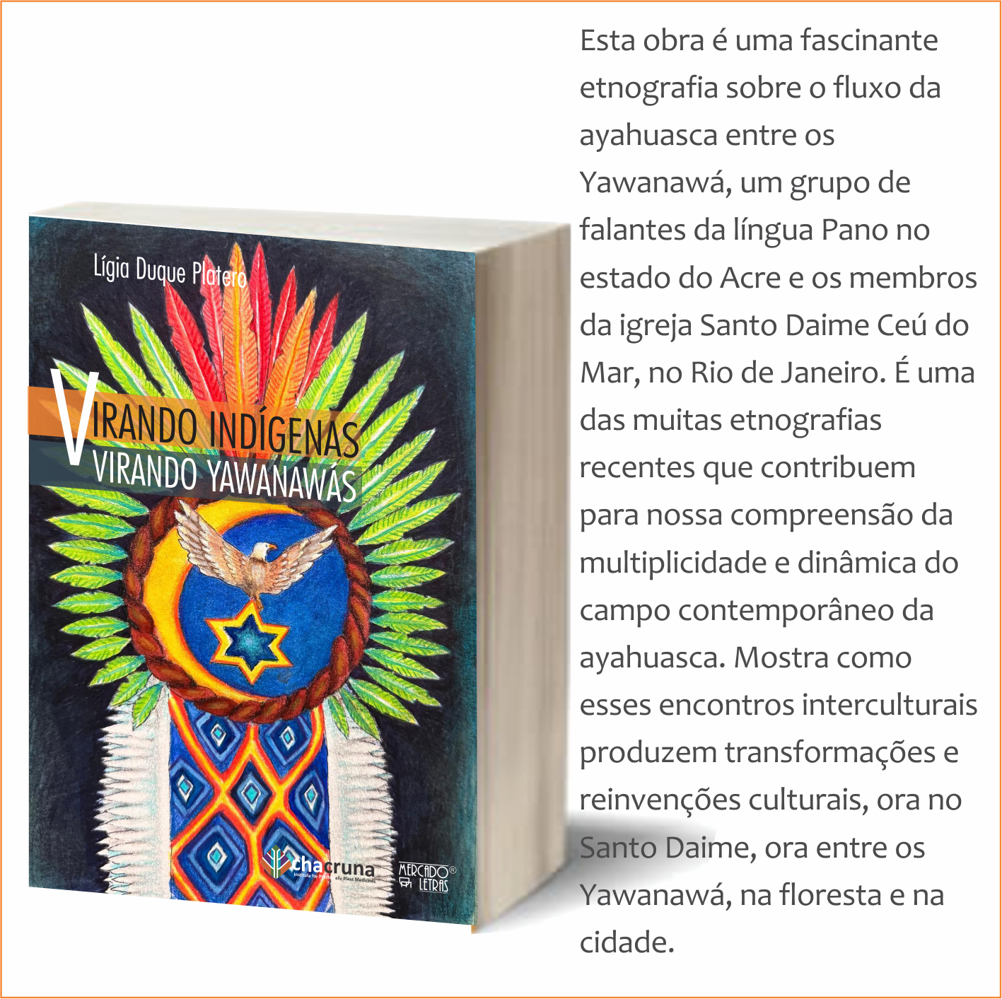 VIRANDO INDIGENA_celular